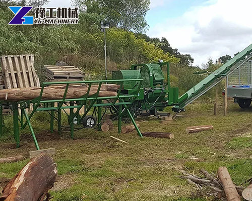 Electric Hydraulic Log Splitter
